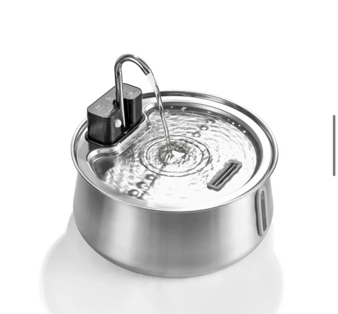 Distributeur d'eau pour chien
